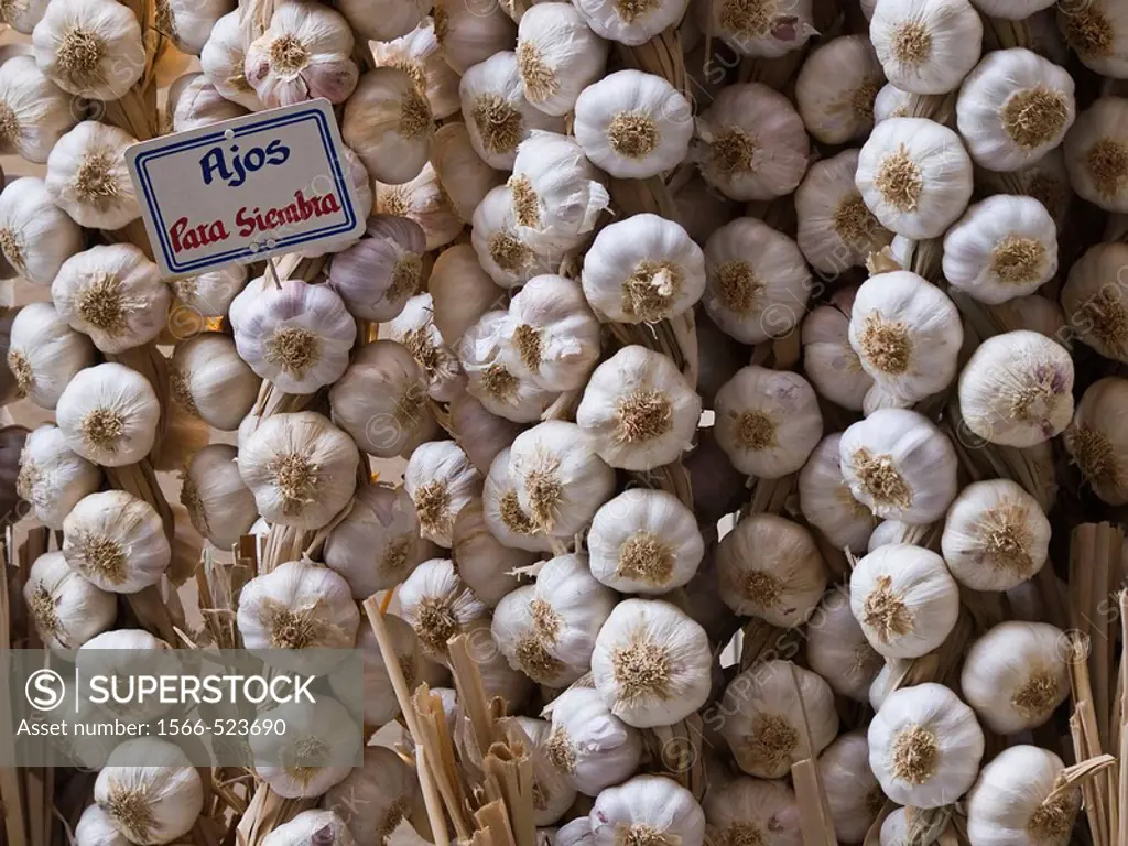 Strings of garlic seed for sale at a job to the old market of Logroño - La Rioja - Spain