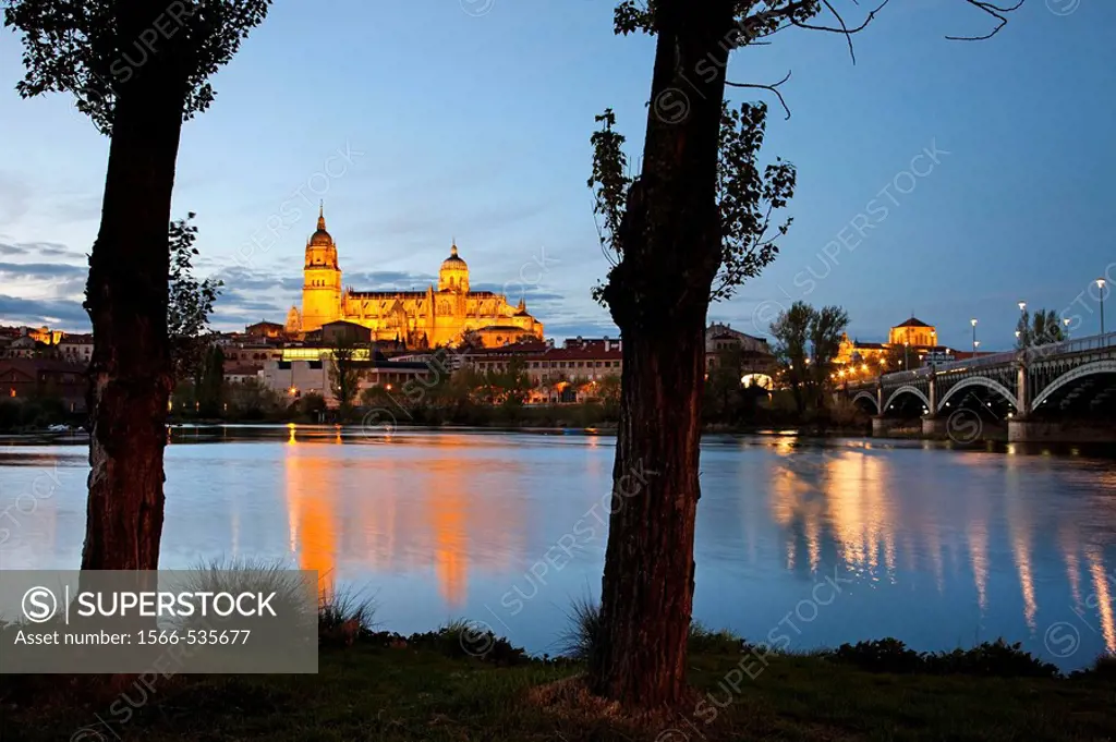 Tormes river and cathedral, Salamanca. Castilla-Leon, Spain