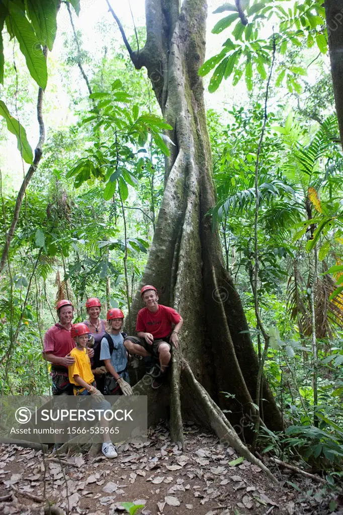 Ceiba tree in Hacienda Baru, Costa Rica