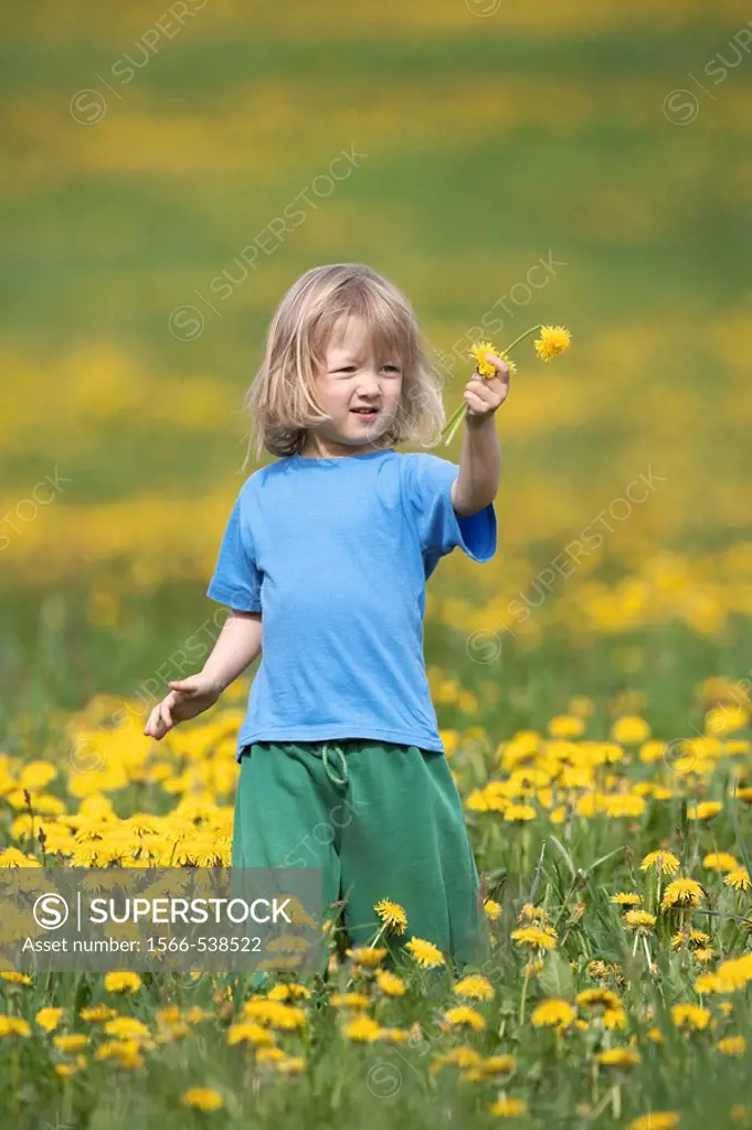 boy with long hair standing in a dandelion field