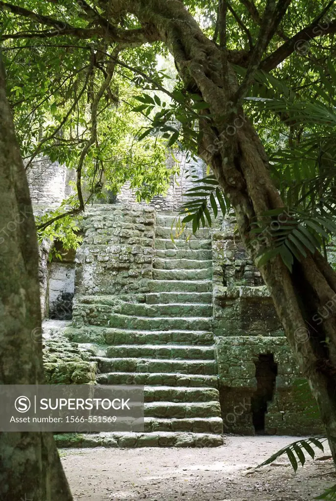 Mayan ruins, Tikal, Guatemala