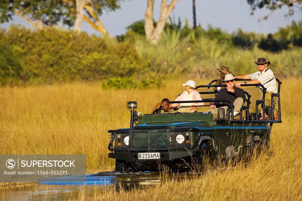 A safari vehicle with tourists driving through the Okavango Delta in Botswana, Africa