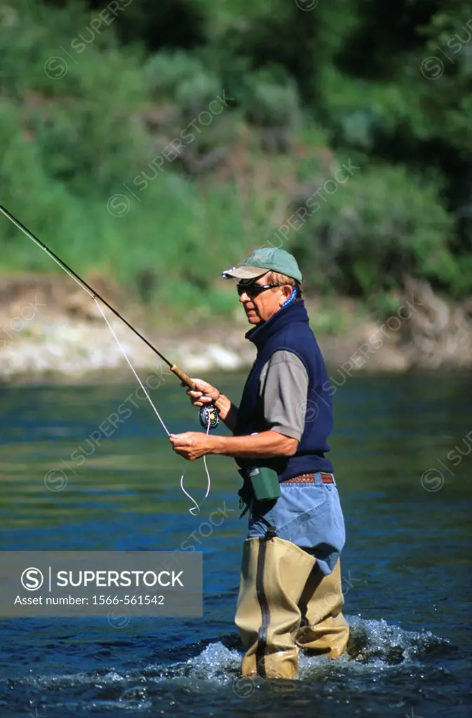 Man fly fishing the Elk river near Steamboat Springs, Colorado, USA