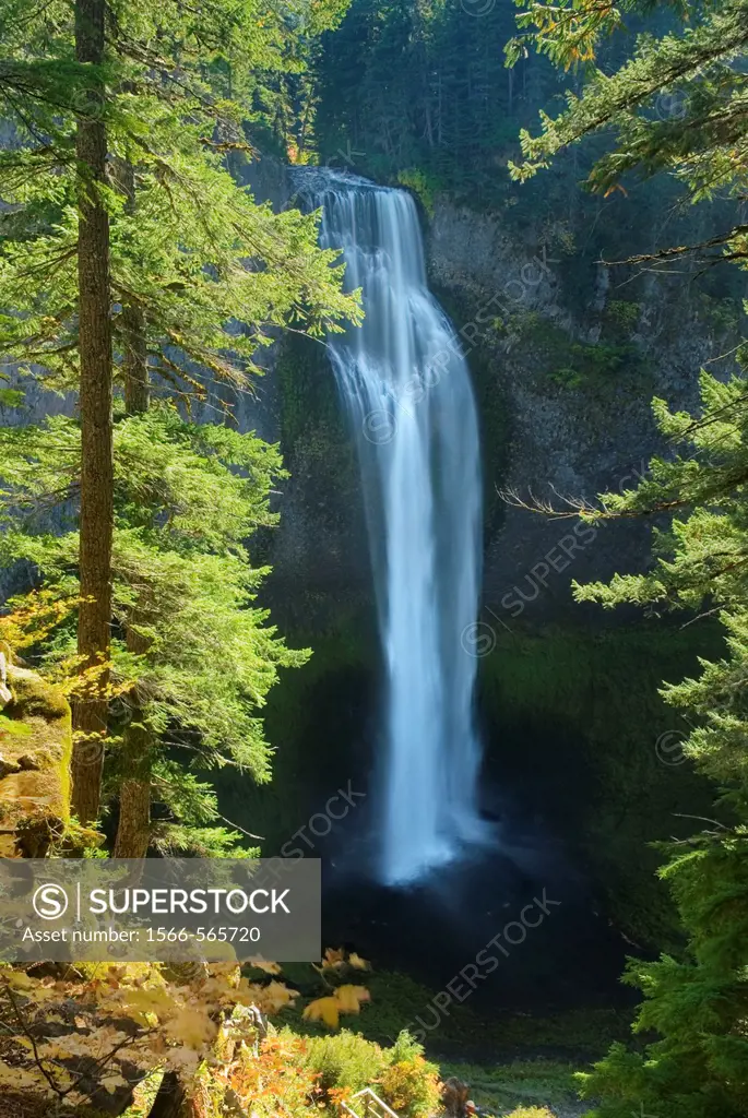 Salt Creek Falls, Willamette National Forest Oregon