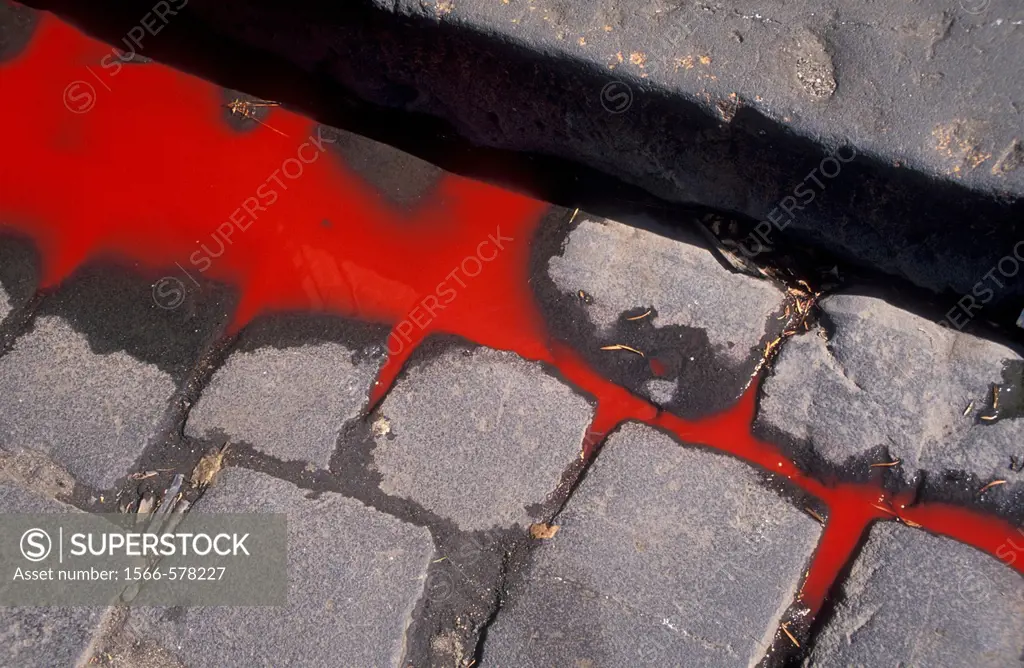 Blood flowing in the gutter