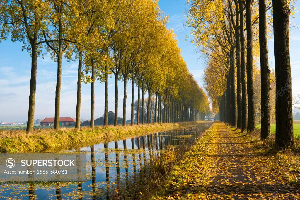 Canal de LEspierres in autumn, Leers-Nord, Hainaut, Belgium