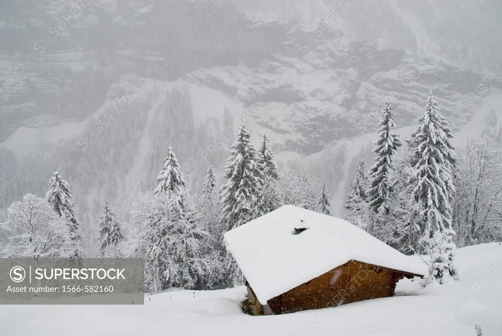 Hillside cabin in snow, Gimmelwald, Bernese Oberland, Switzerland