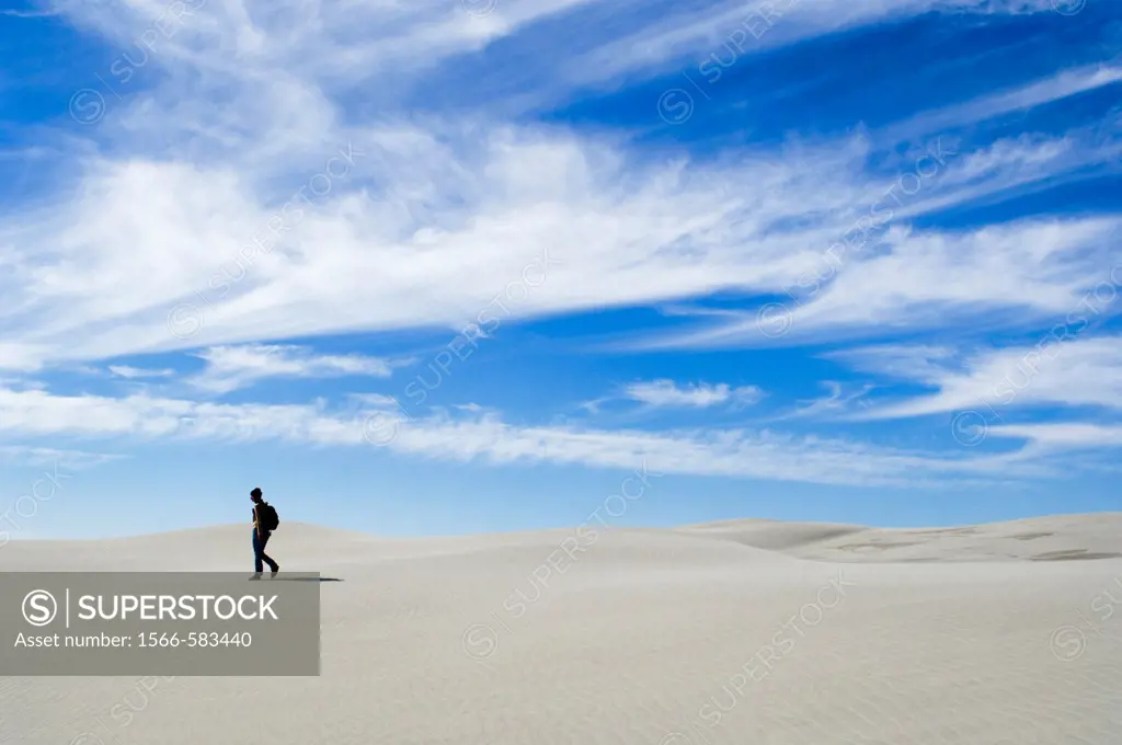 Person walking on dunes, Farewell Spit, New Zealand