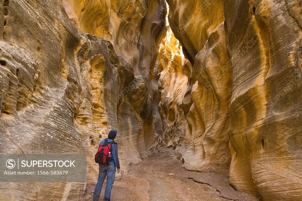 Willis Creek slot Canyon in the Grand Staircase Escalante National Monument in Southern Utah