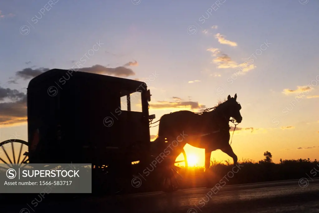 Amish horse-drawn buggy, Lancaster County, Pennsylvania, United States