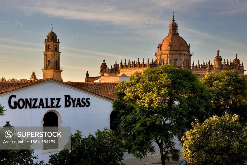 wineries Gonzales Byass and Cathedral built 17th century  Jerez de la Frontera  Cádiz province  Spain