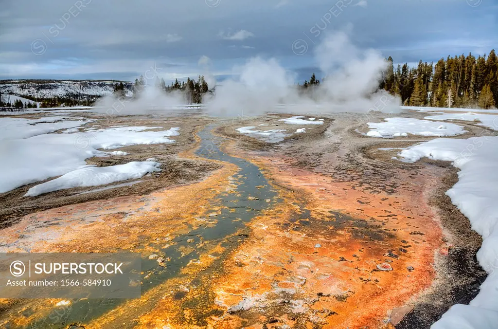 Boiling water mixes with bacteria and microorganisms to produce high-color amongst the snow at Daisy Geyser at Yellowstone National Park, Wyoming
