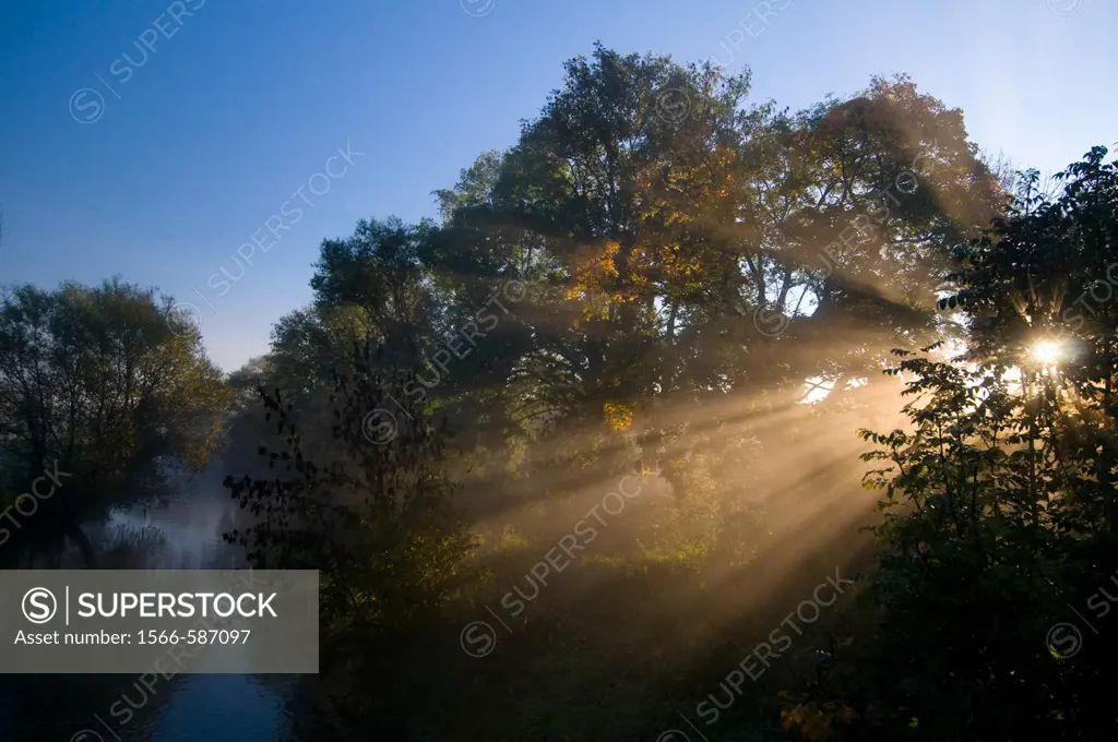 River valley, Aisch, Sunrise, morning mist, shafts of sunlight, autumn, Bavaria, Germany