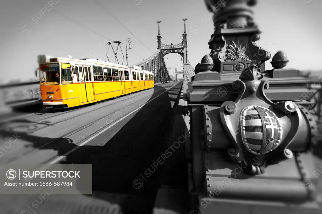 Trams on the Liberty or Freedom Bridge Szabadság híd,  Budapest, Hungary