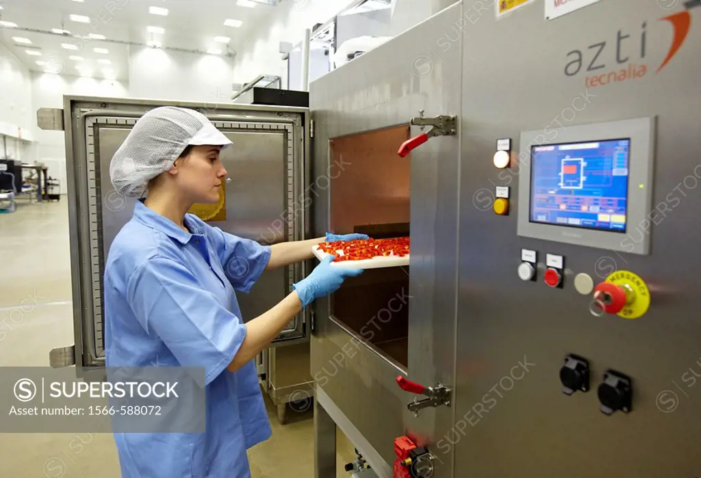Microwave technology for food processing: pasteurization, thawing, cooking and dehydration, AZTI-Tecnalia Marine and Food Research Center pilot plant,...