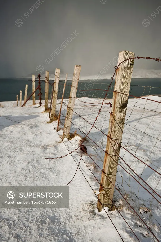 Rusty barb wire fence through snowy landscape, Isle of Harris, Outer Hebrides, Scotland