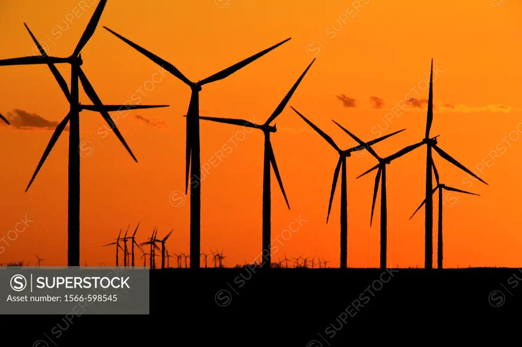 Wind turbines generating electrical power at Horse Hollow Wind Farm, Nolan county, Texas the world´s largest wind power project during sunset