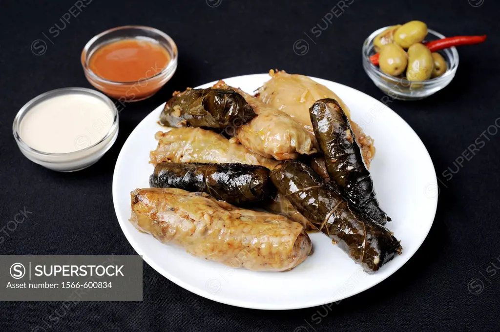 A plate with Stuffed Vine Leaves and Stuffed Cabbage
