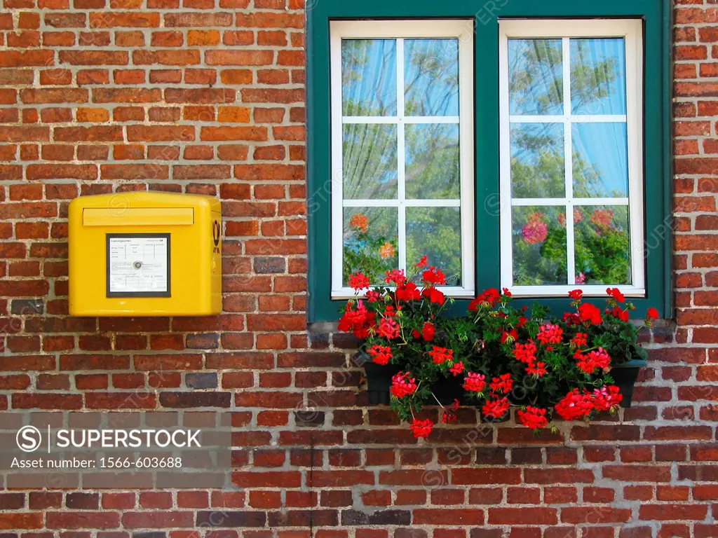 Windows, postbox, letterbox, flowers, Panker, Germany