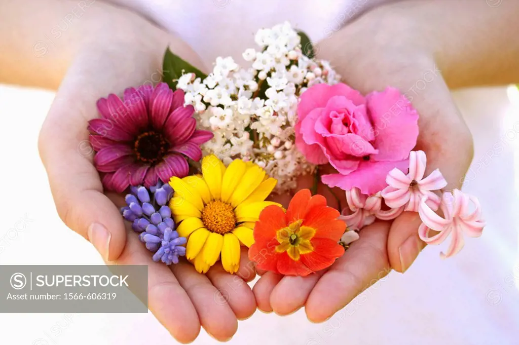 Flowers on hands