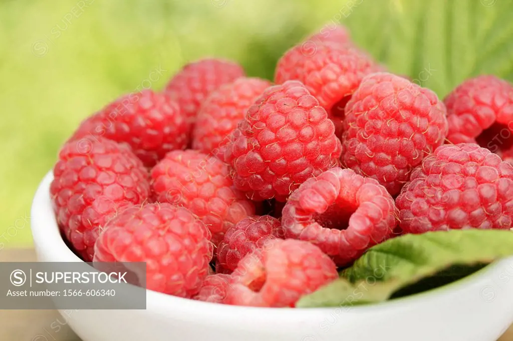 Rasberries