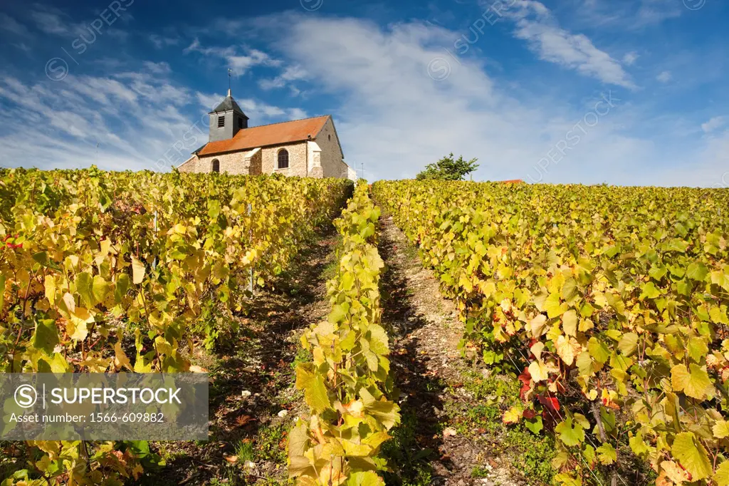 France, Marne, Champagne Ardenne, Mutigny, town church and vineyards