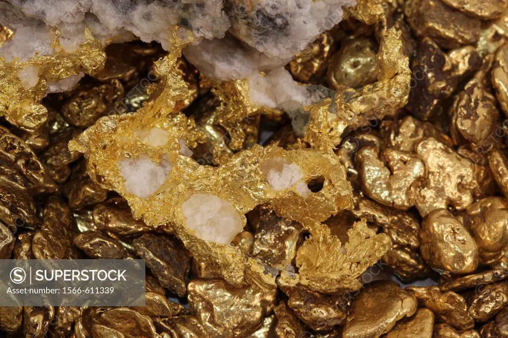 Native gold specimen and gold nuggets - Colorado.