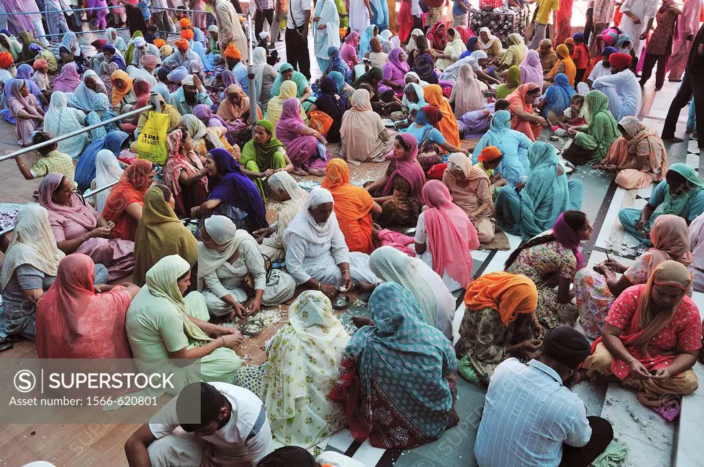 Hundreds of volunteer preparing food for pilgrims, Punjab Amritsar India