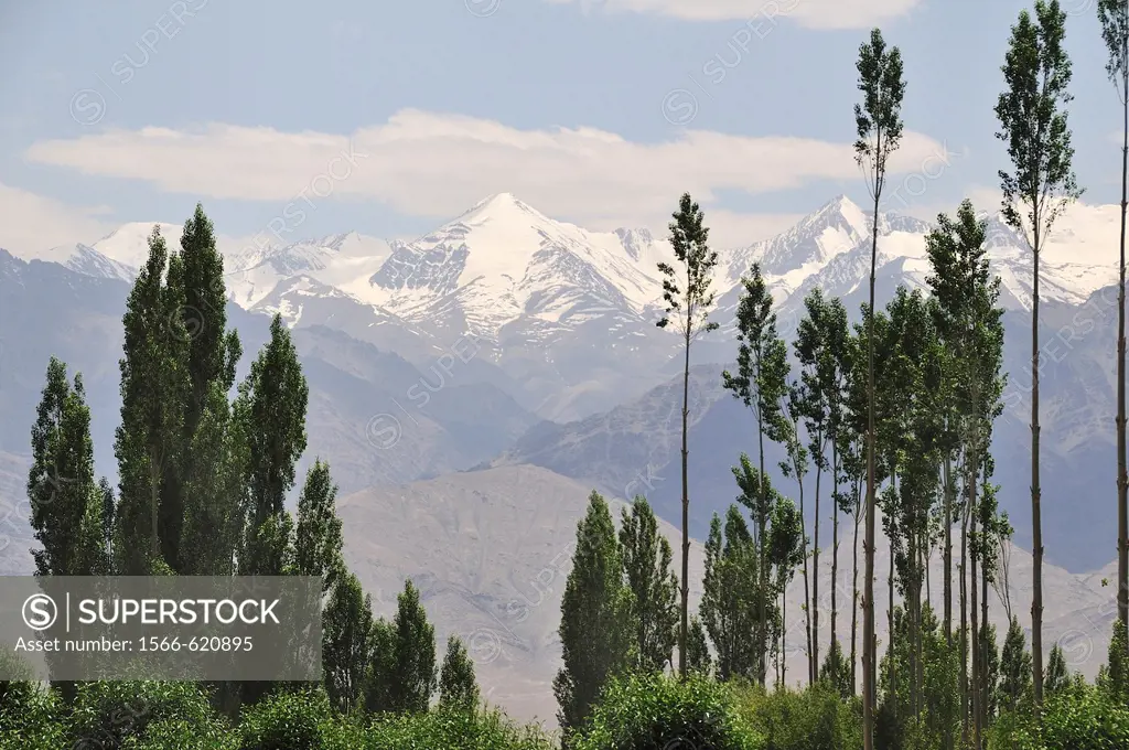 Mountain view in Leh. Ladakh, Jammu and Kashmir, India