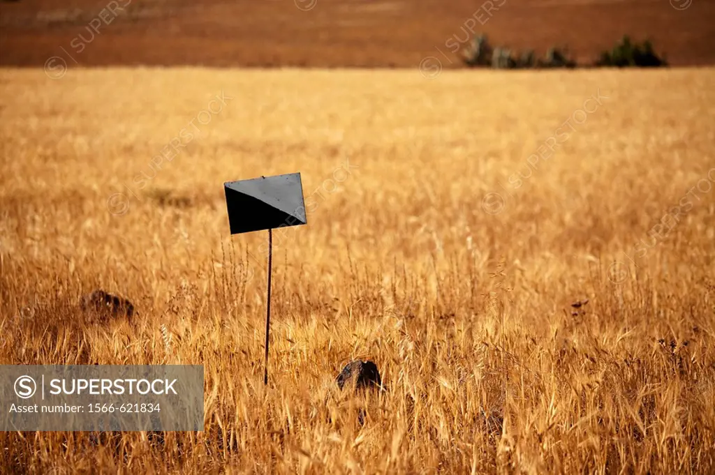 Signal in a wheat field  Playa de los Genoveses, Parque Natural de Cabo de Gata, Almería, Spain