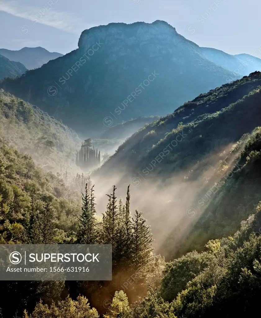 Early morning mist in the Koskaraka Gorge, in the foothills of the Taygetus mountains, Outer Mani, Peloponnese, Greece