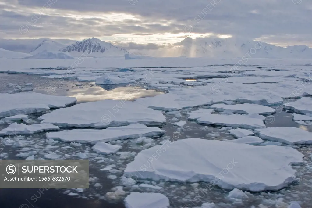 Brash ice and first year floe ice often called pancake ice south of the Antarctic Circle on the west side of the Antarctic Peninsula during the summer...