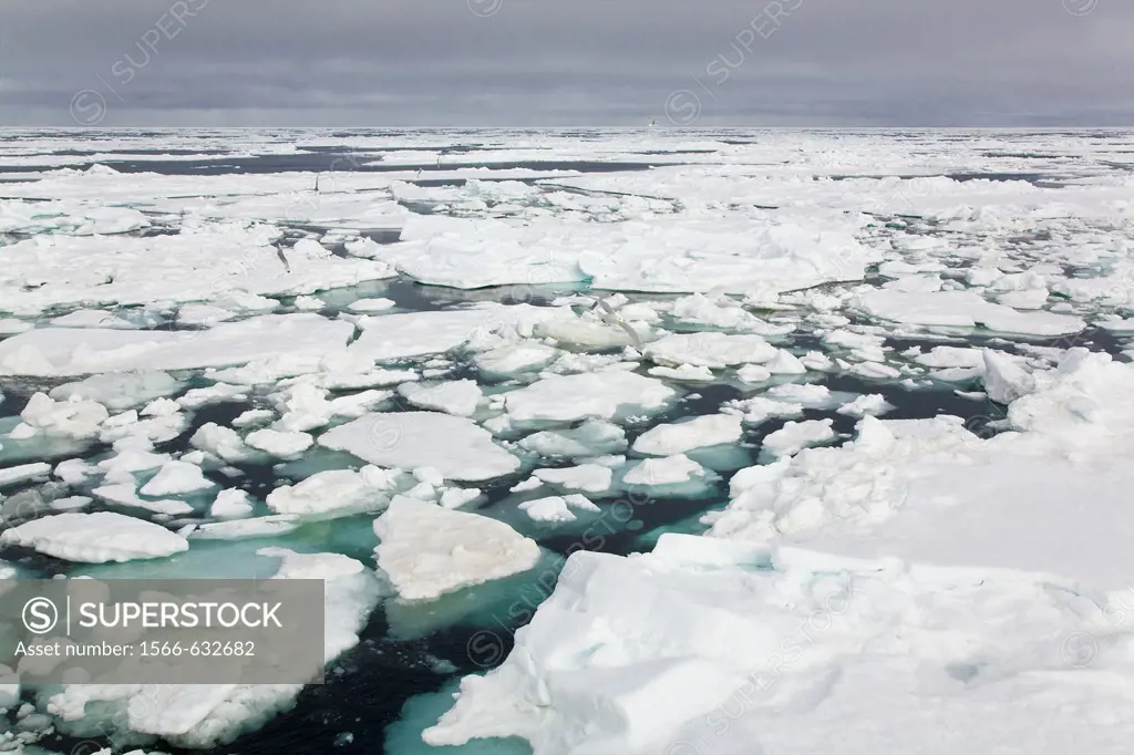 Open leads surrounded by multi-year ice floes in the Barents Sea between Edgeoya Edge Island and Kong Karls Land in the Svalbard Archipelago, Norway