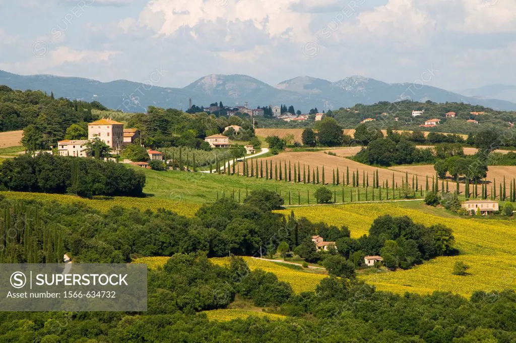 Italy, Umbria, Amelia, landscape.