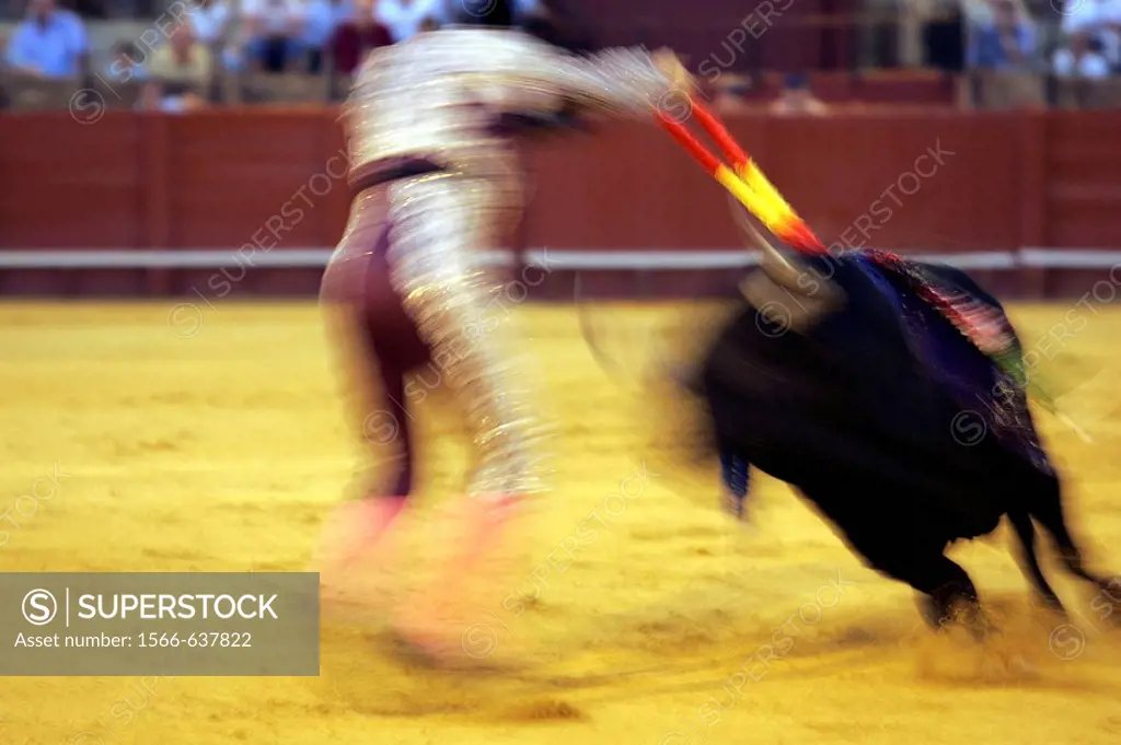 Motion blurred action of a ´banderillero´, bullfight in the Real Maestranza bullring, Seville, Spain