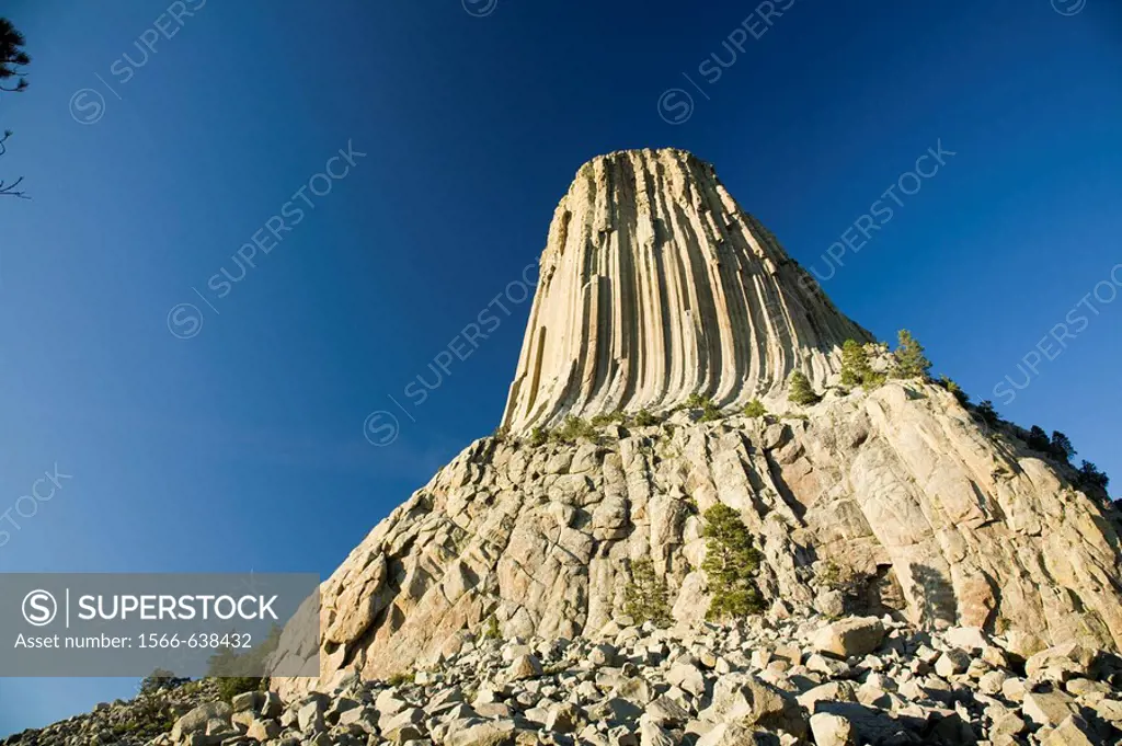 Devil´s Tower National Monument, a monolithic igneous intrusion or volcanic neck, northeastern Wyoming, symbol of Wyoming state, USA, 2008