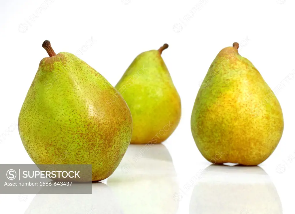 COMICE PEAR pyrus communis AGAINST WHITE BACKGROUND