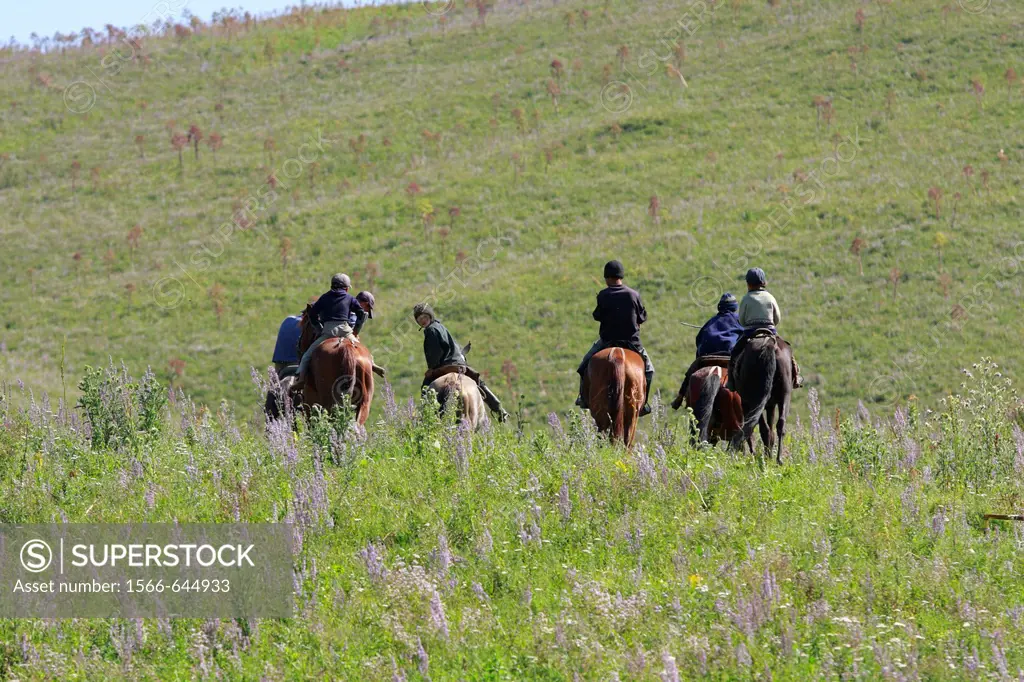 Kyrgyz boys riding their horses that are central to the traditional Kyrgyz way of life and it is natural to see many children on horseback, not only i...