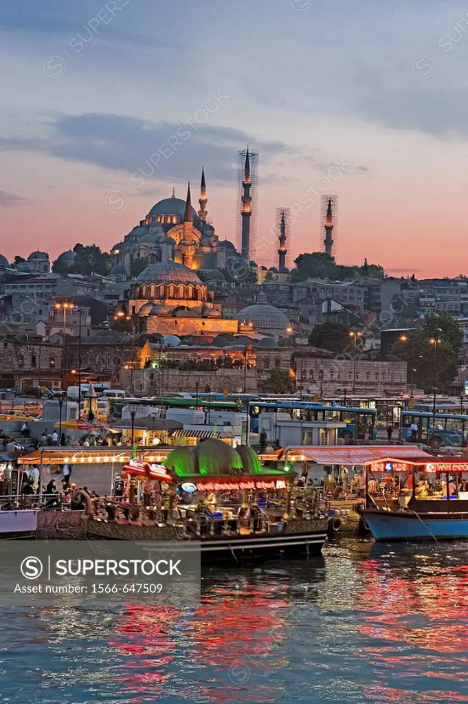 Suleymaniye Mosque and Golden Horn, Istanbul, Turkey