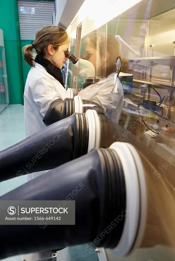 Preparing samples in inert atmosphere, controlled atmosphere glove box, stereo microscope, Synthesis Laboratory, CIC nanoGUNE Nanoscience Cooperative ...