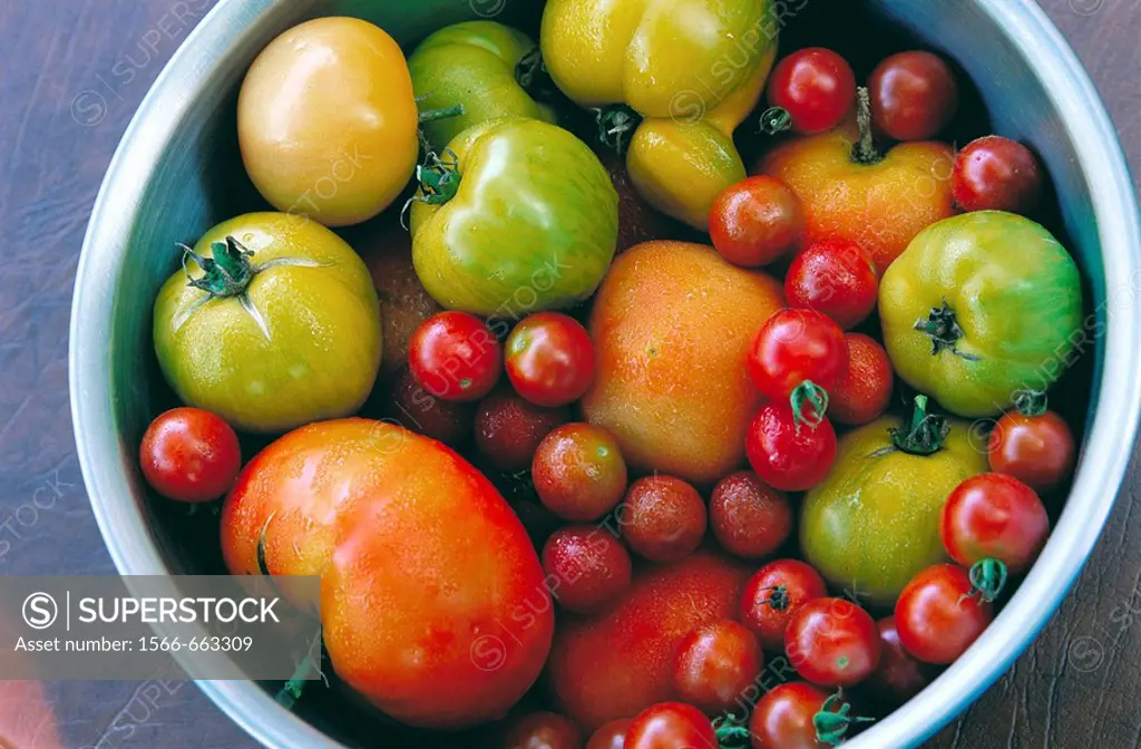 Tomatoes: red carmelo, green zebra and cherry