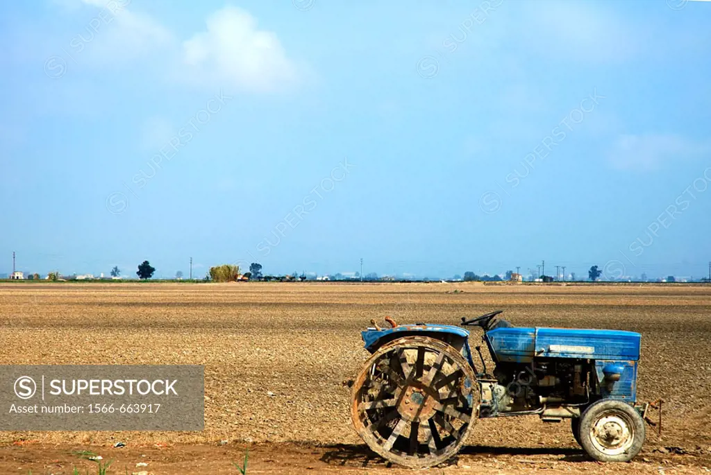 Rice field, Ebro River delta. Tarragona province, Catalonia, Spain