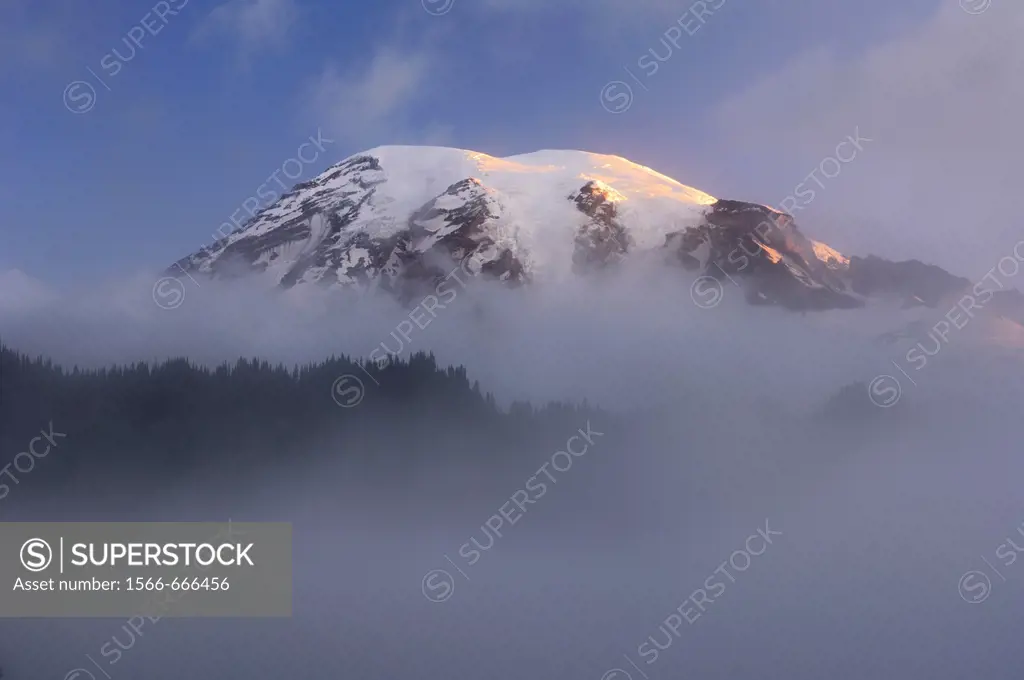 Clouds surrounding summit of Mount Rainier at sunrise  Cascade Range, Pierce County, Mount Rainier National Park, Washington State, USA, America