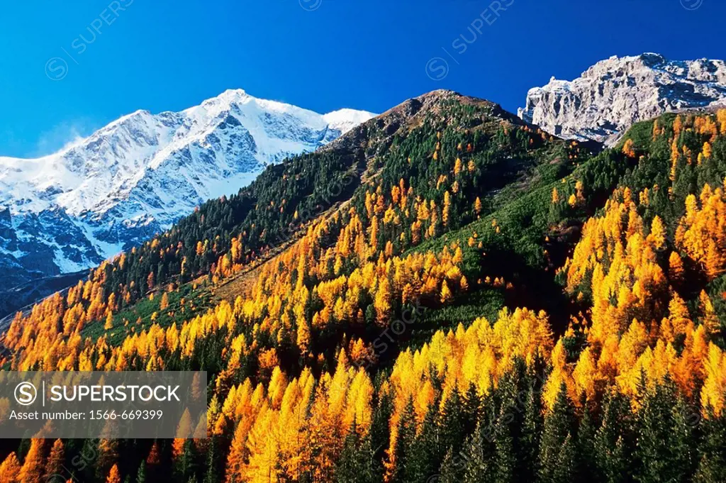 Mount Ortler (3905 m), Solda (Sulden), Stelvio National Park. Trentino-Alto Adige, Italy