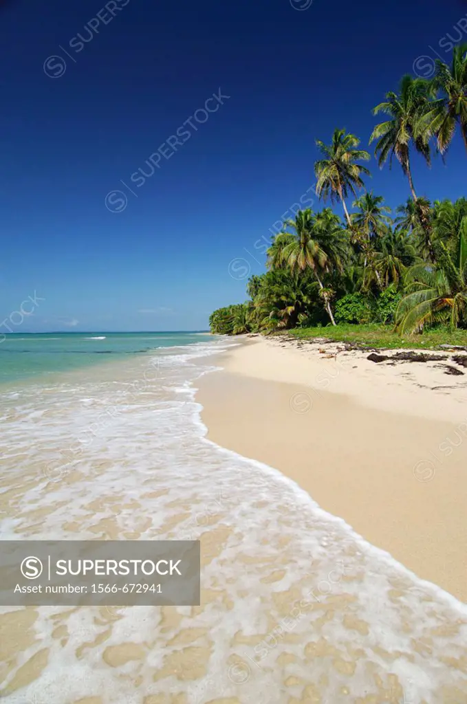 Beach at Zapatilla Cay. Bastimentos Nacional Marine Park. Mangroves. Bocas del Toro archipelago. Caribbean sea. Panama