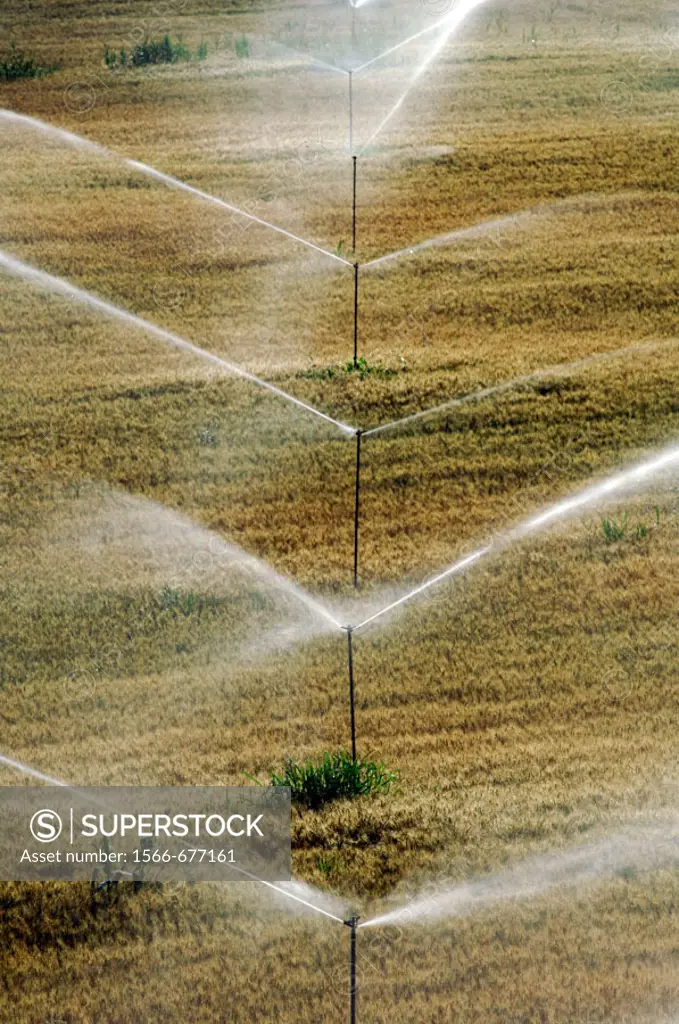 Sprinklers. Sariñena, Huesca province. Spain