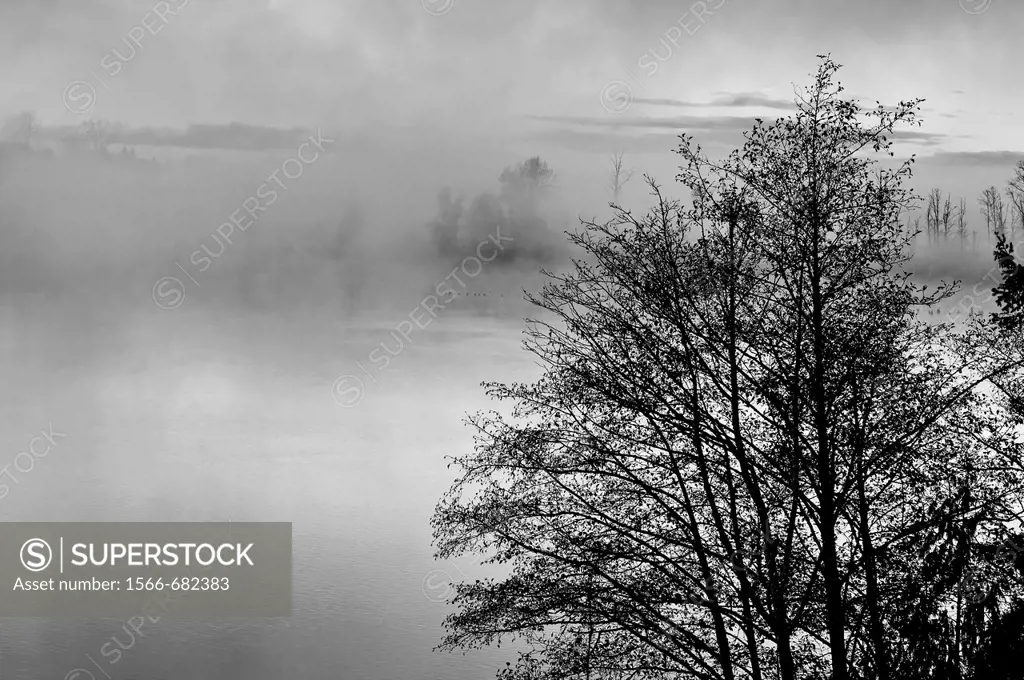 This nature stock image is a foggy morning on a lake at sunrise with the misty rising up off the water Trees in the foreground add further interest to...