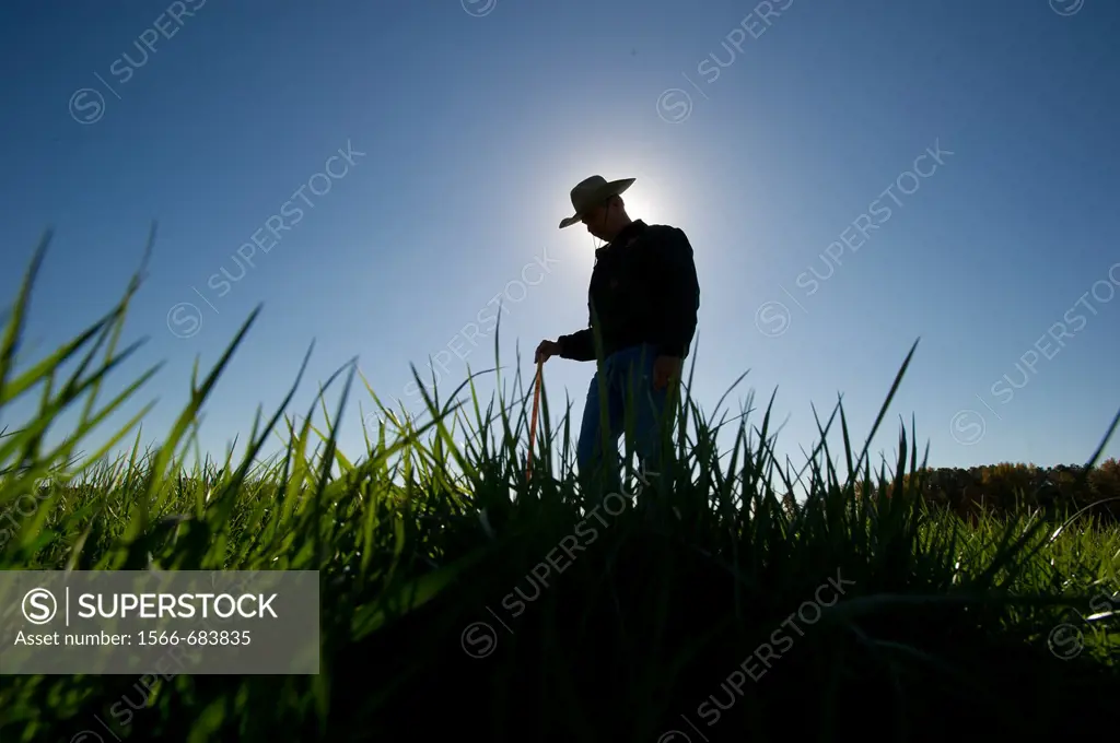 Farmer in the field