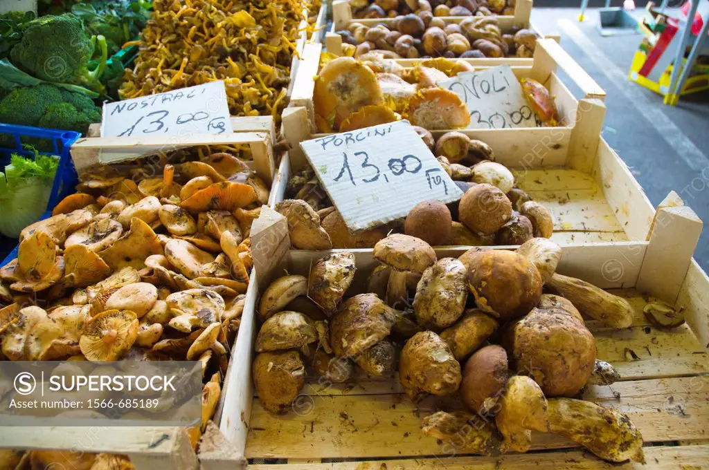 Mushrooms inside Mercato di Sant´Ambrogio market central Florence Firenze Tuscany central Italy Europe