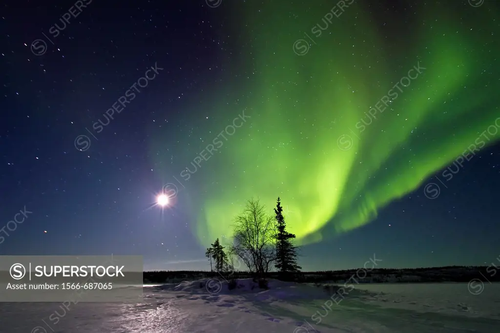 Aurora Borealis Northern Polar Lights and waxing moon over the boreal forest outside Yellowknife, Northwest Territories, Canada, MORE INFO The term au...